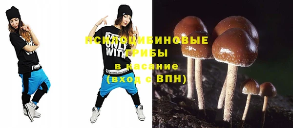 apvp Сосновый Бор