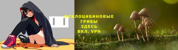 дмт Кулебаки