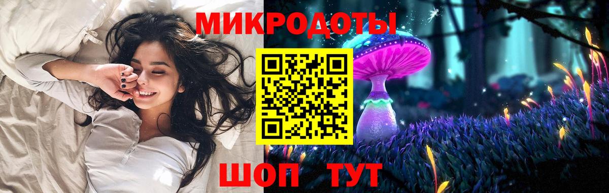 Псилоцибиновые грибы Psilocybine cubensis Можайск